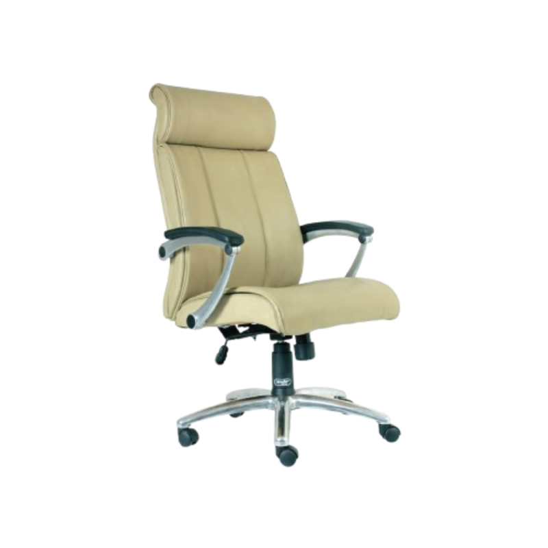 Your paragraph text (4)